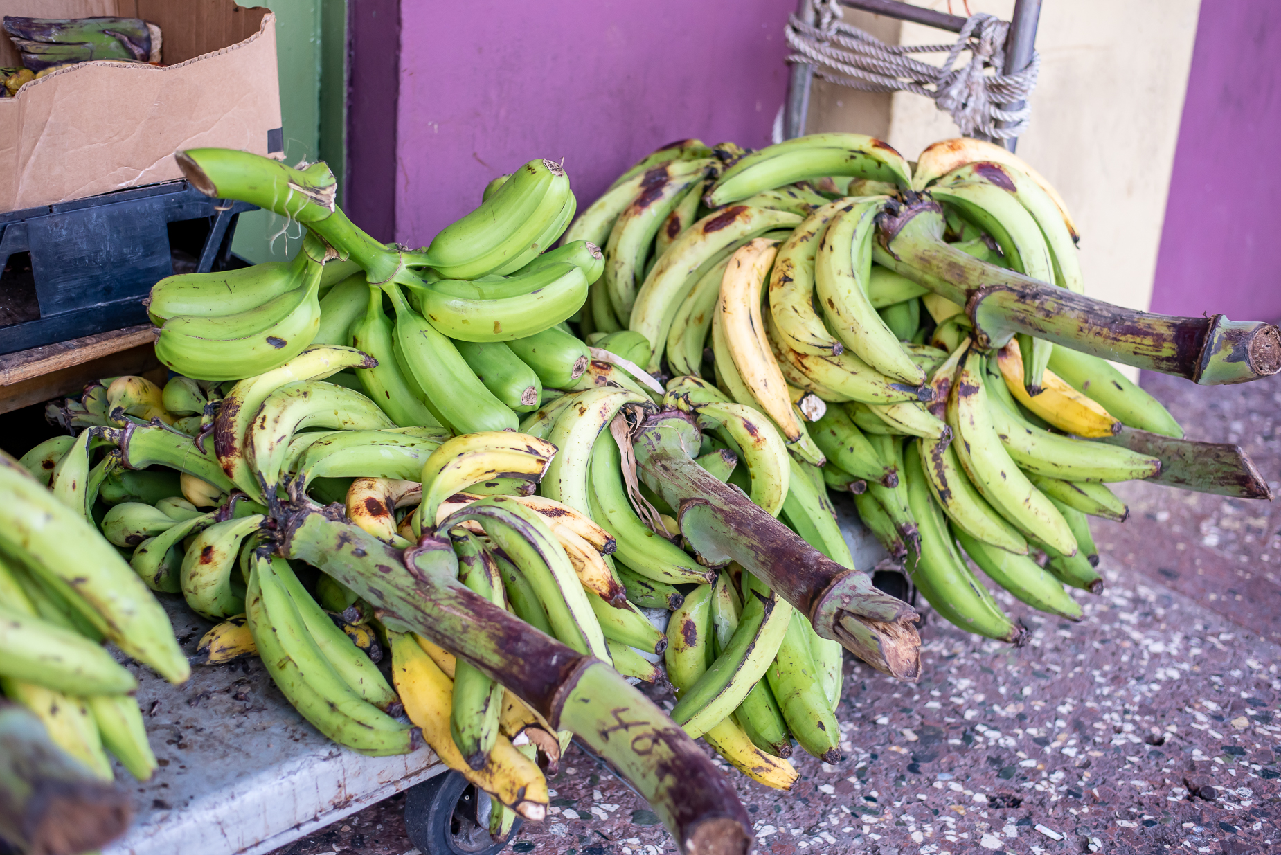 Platanos, Santurce, Places to visit in San Juan, where to eat in Puerto RIco